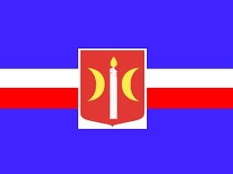 Turniej piłki siatkowej o puchar Burmistrza Świecia
