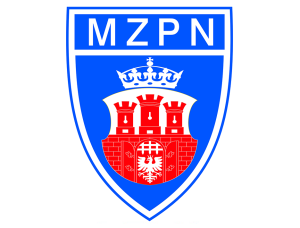 Liga Halowa Młodzika